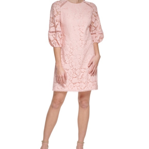 Vince Camuto Petite
Lace Shift Blush Pink  Dress Size 6 Petite 6P - Picture 12 of 15